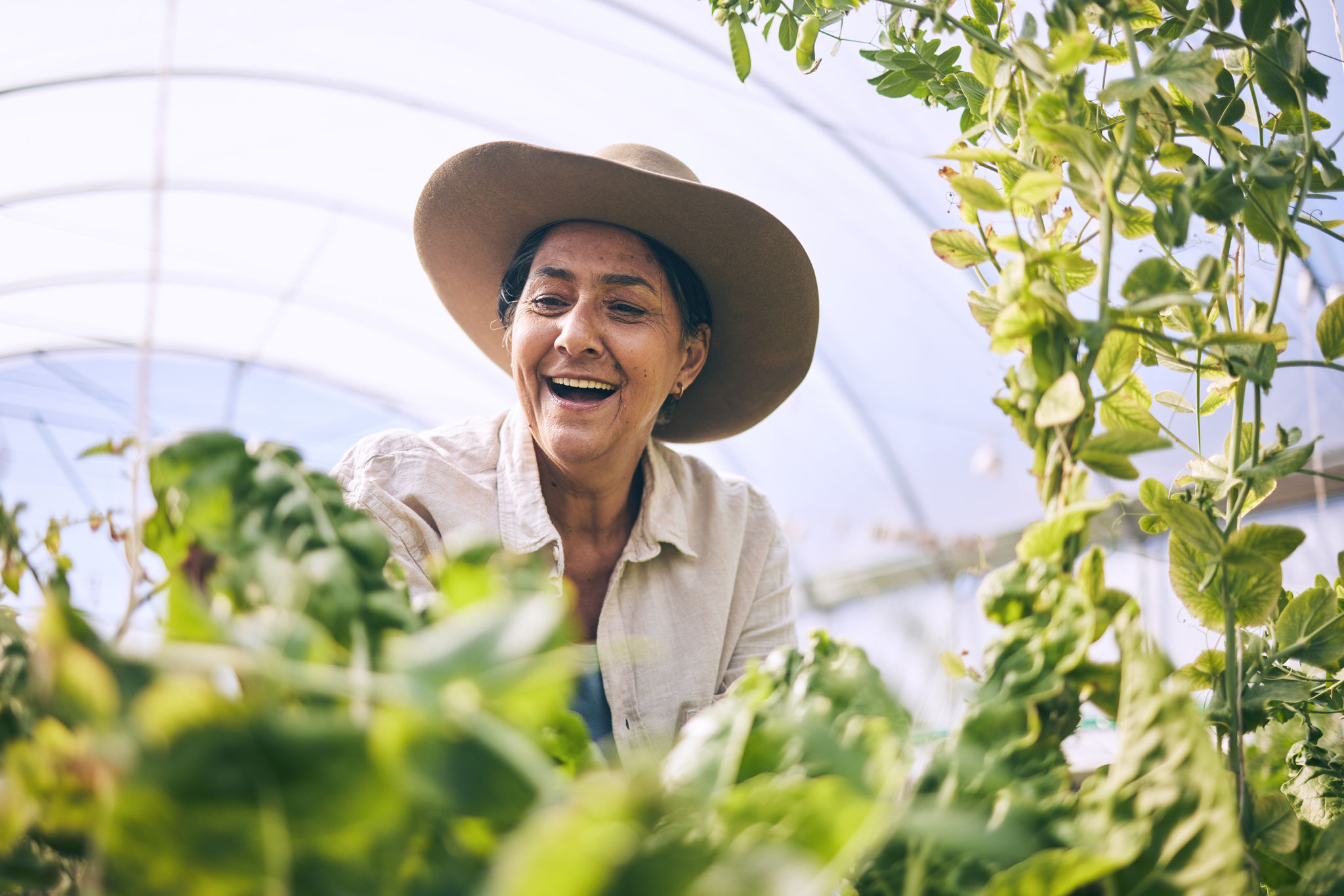 Mature woman, agriculture and greenhouse with plants, wow and smile, harvest and vegetable farming. Farmer, happy with crops and sustainability, agro business and ecology with growth and gardening.