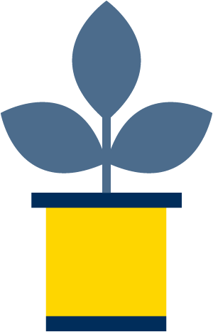 Icon of plant